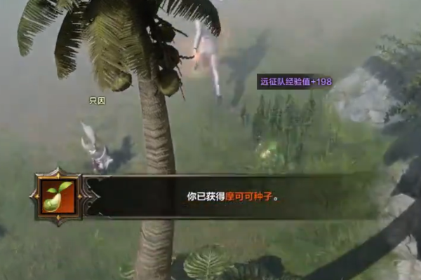 命運方舟迷霧島摩可可位置介紹