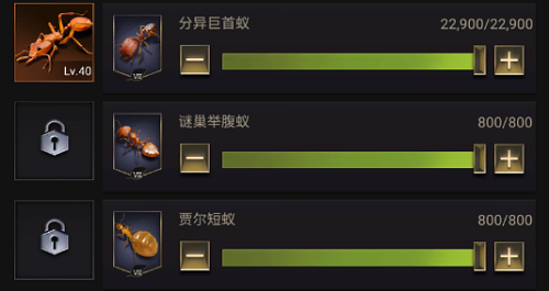 手游攻略-小蟻帝國怎么搭配？