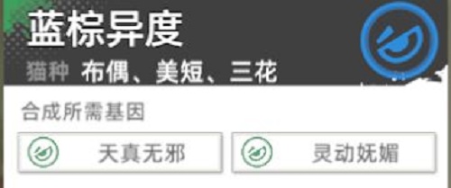 手游攻略-貓之城主題貓怎么獲得？