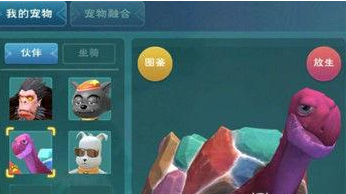 創造與魔法龜怎么馴服方法分享