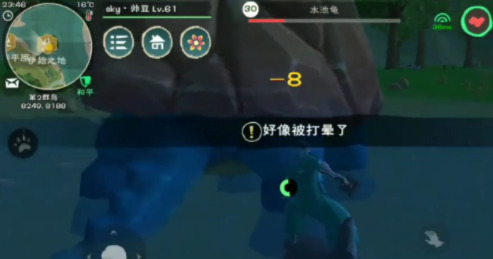 創造與魔法龜怎么馴服方法分享