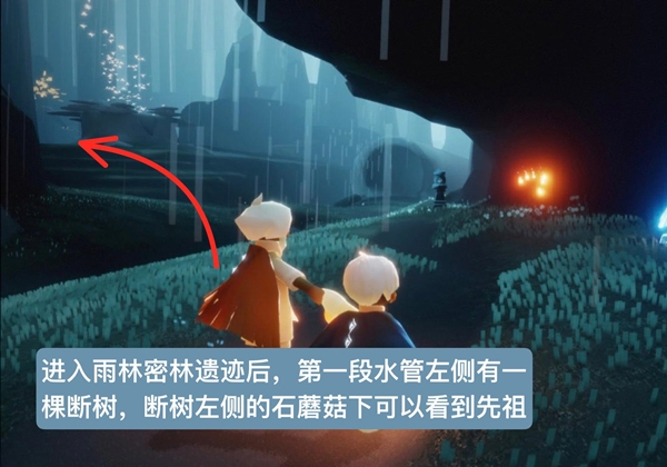 手游攻略-光遇雨林磕頭先祖在哪里？