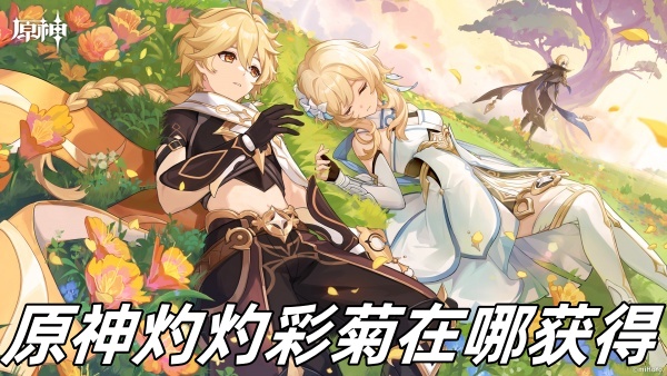 原神灼灼彩菊獲得位置推薦_原神灼灼彩菊在哪獲得