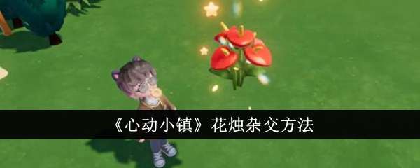《心動小鎮》花燭雜交方法
