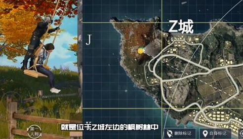 《和平精英》楓葉林秋千位置介紹