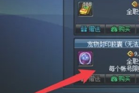 dnf寵物封印膠囊使用教程