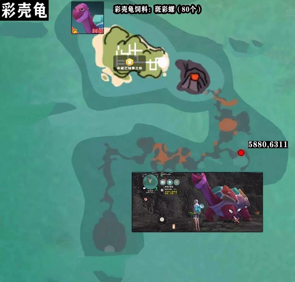 創造與魔法彩殼龜多久刷新一次