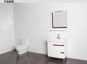 箭牌衛(wèi)浴Arrow浴室柜PVCAP348 APG8L348 價格、圖片、參數(shù)全解析